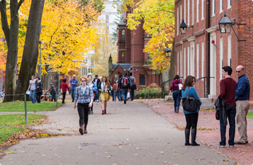 ddos攻击在哪能买到